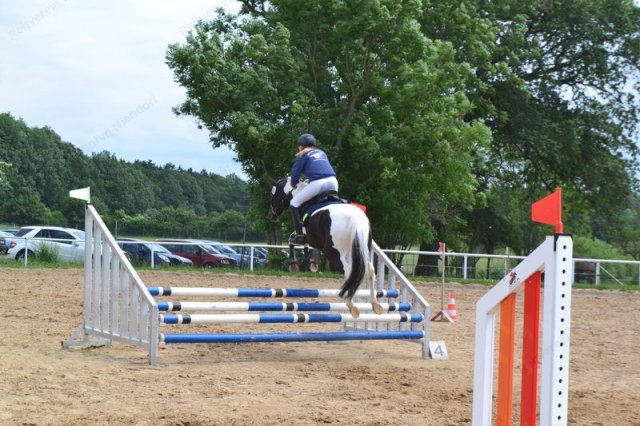 reitertag 2013 100
